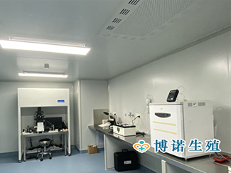 澳洲借卵试管医院 - 手术实验室