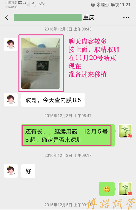 澳洲高龄借卵.jpg