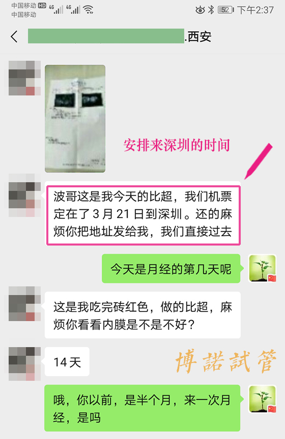 澳洲借卵试管婴儿.jpg