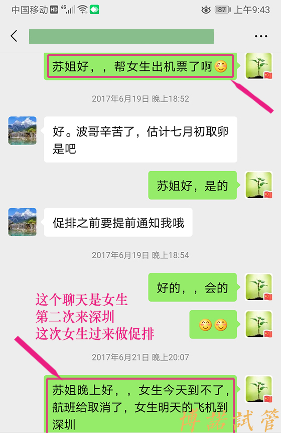 澳洲借卵试管成功率多少.jpg