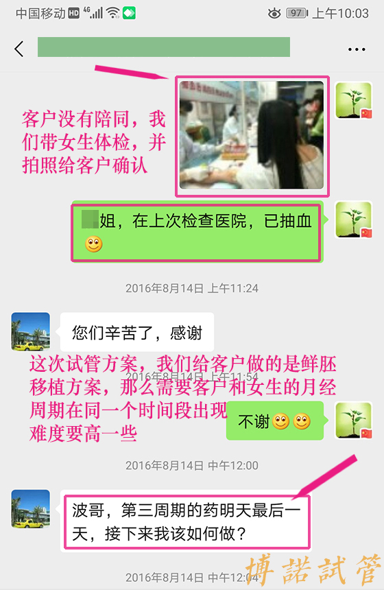 澳洲借卵公司.jpg