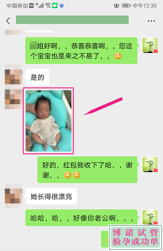 澳洲借卵公司.jpg