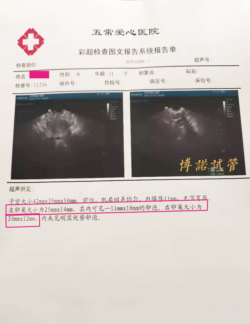 澳洲借卵生子.jpg