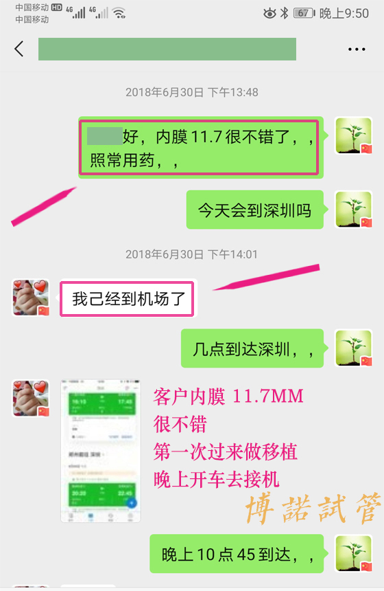 澳洲借卵机构.jpg