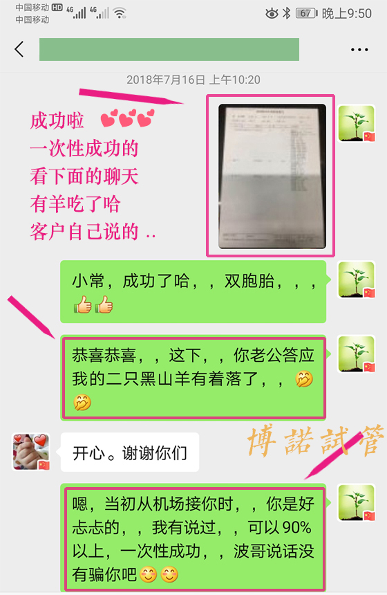 澳洲借卵成功率.jpg