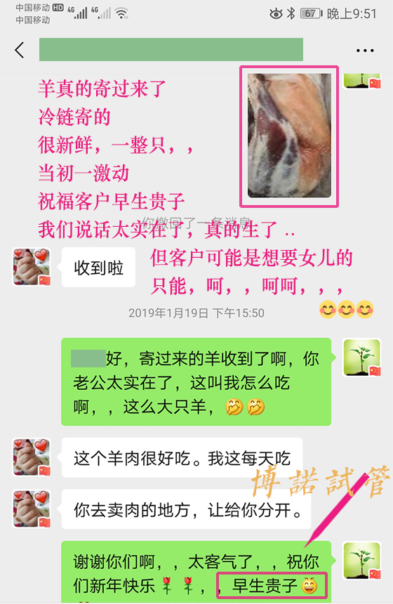 澳洲借卵费用.jpg