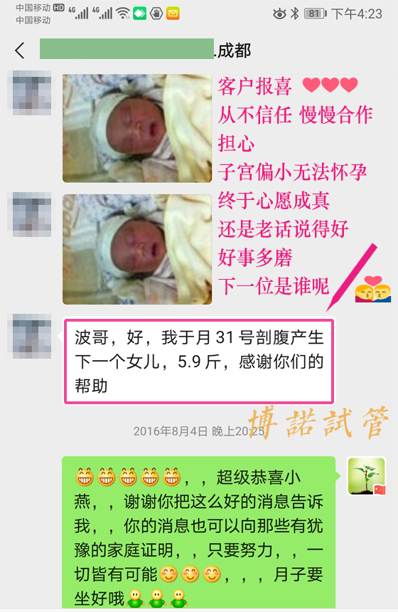 澳洲借卵试管婴儿.jpg