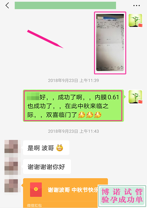 澳洲助孕机构：内膜0.61成功