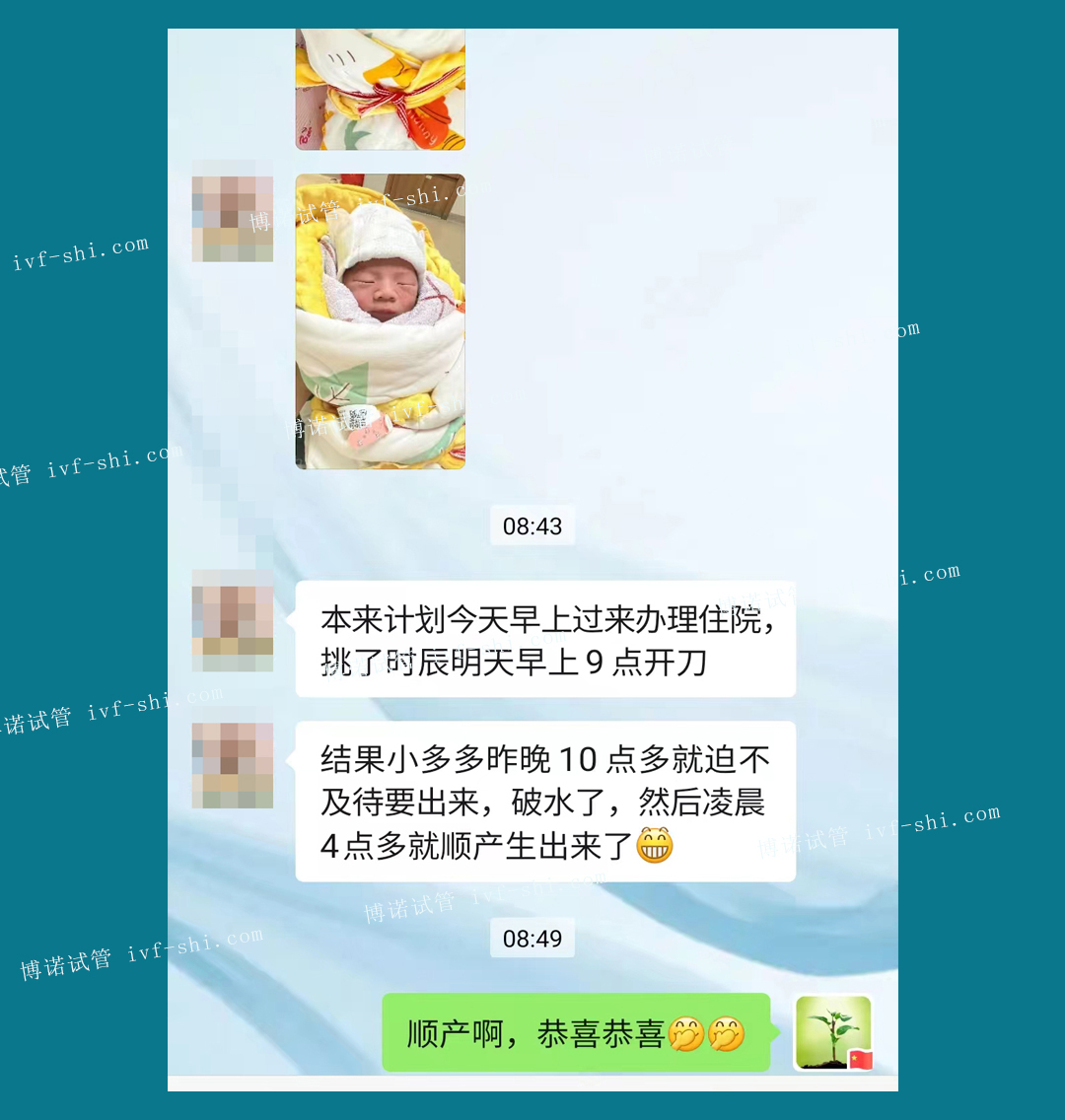 借卵试管婴儿成功率多少.jpg